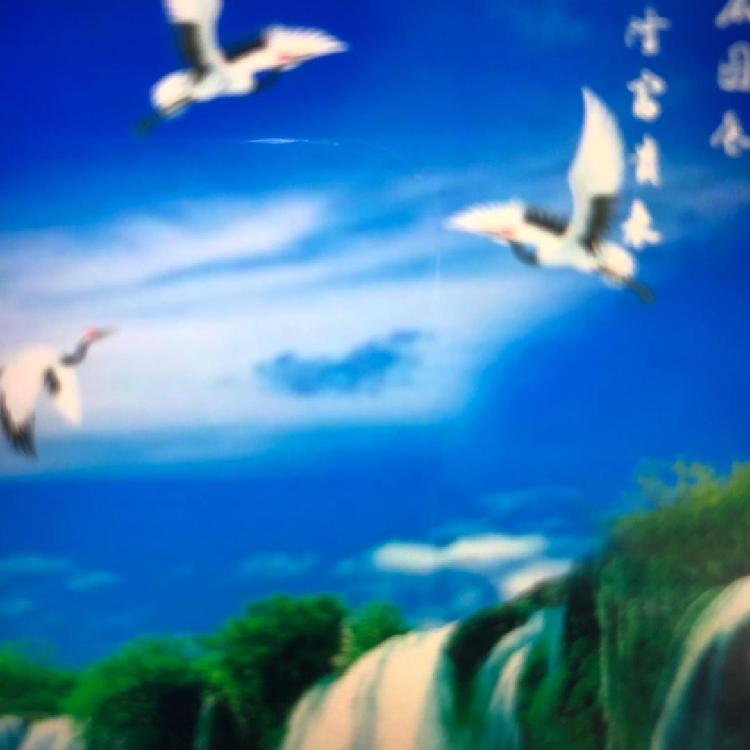 静心