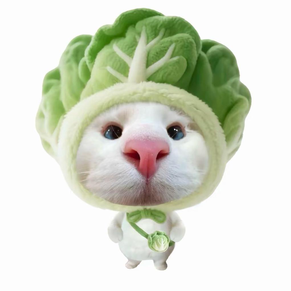 圆宝⁷¹⁰（挨千刀⁹⁹⁺版）