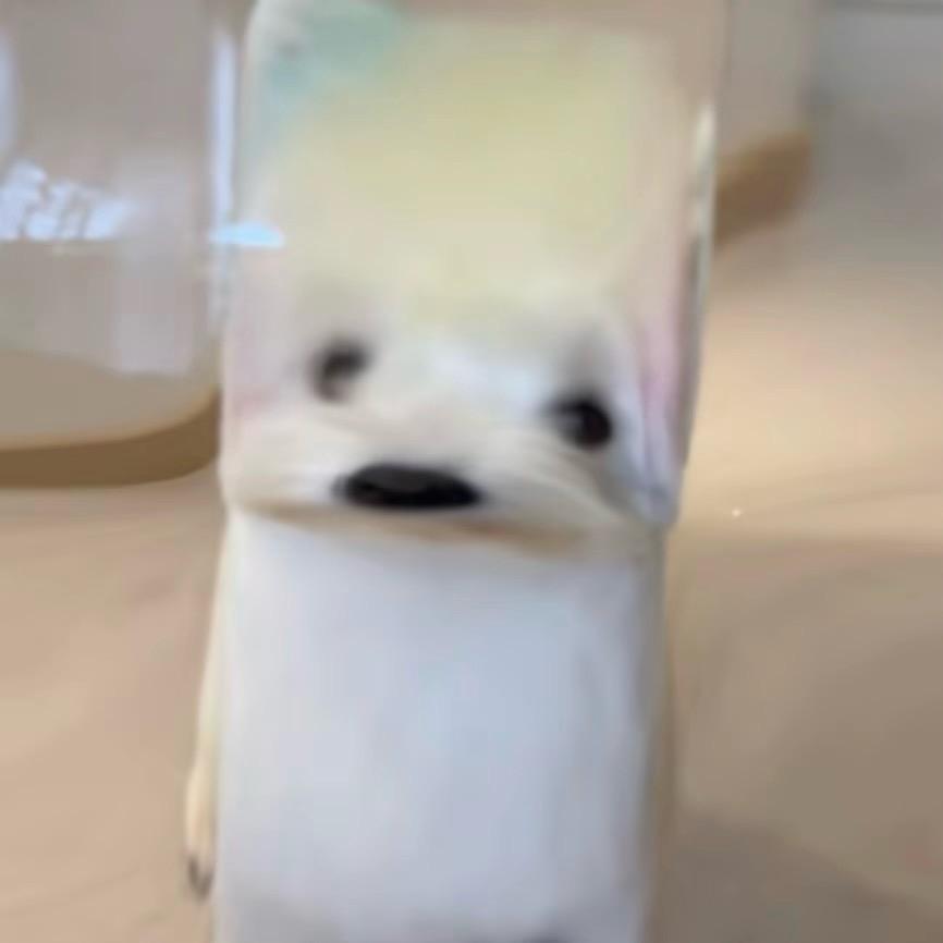 Elaraa