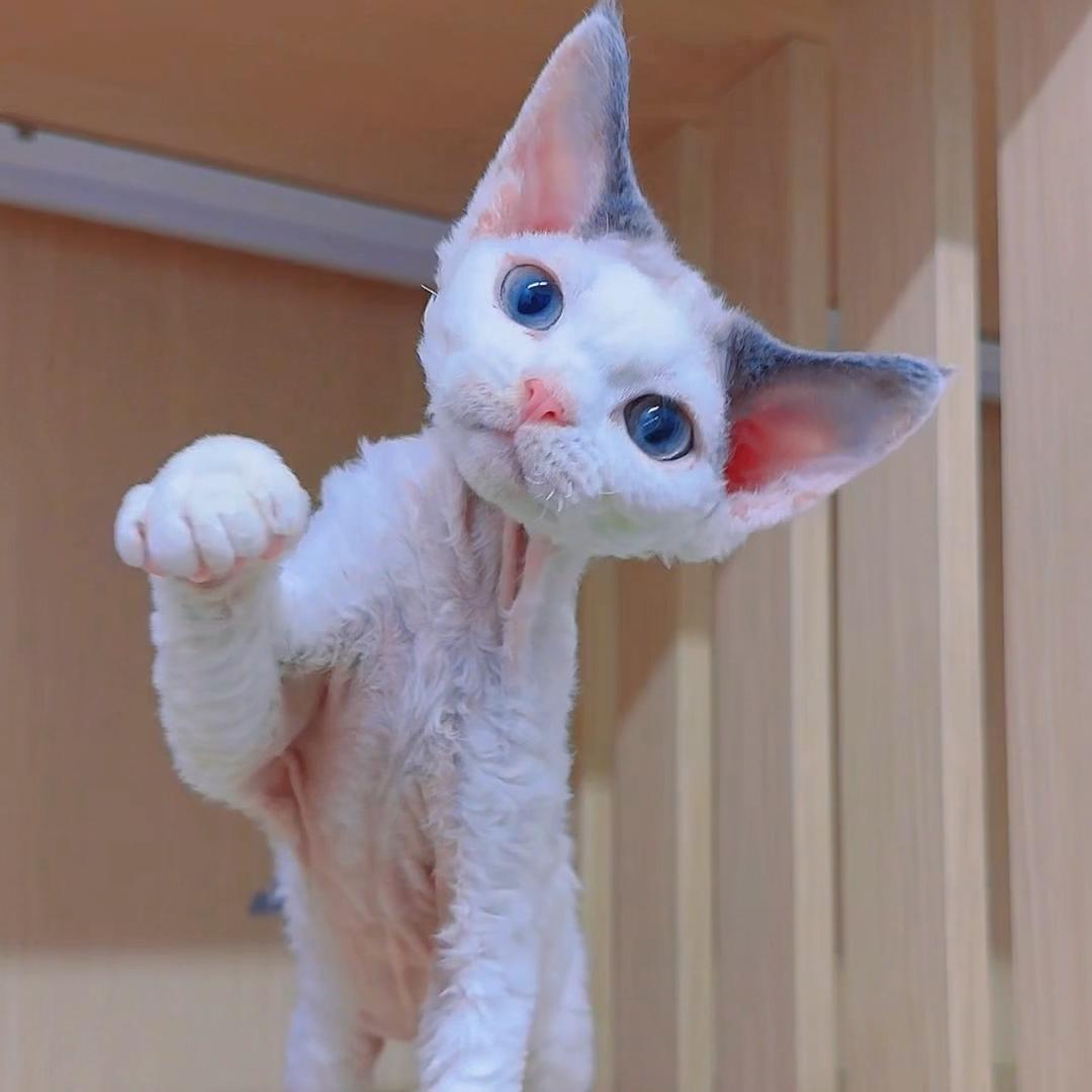 我狠善良