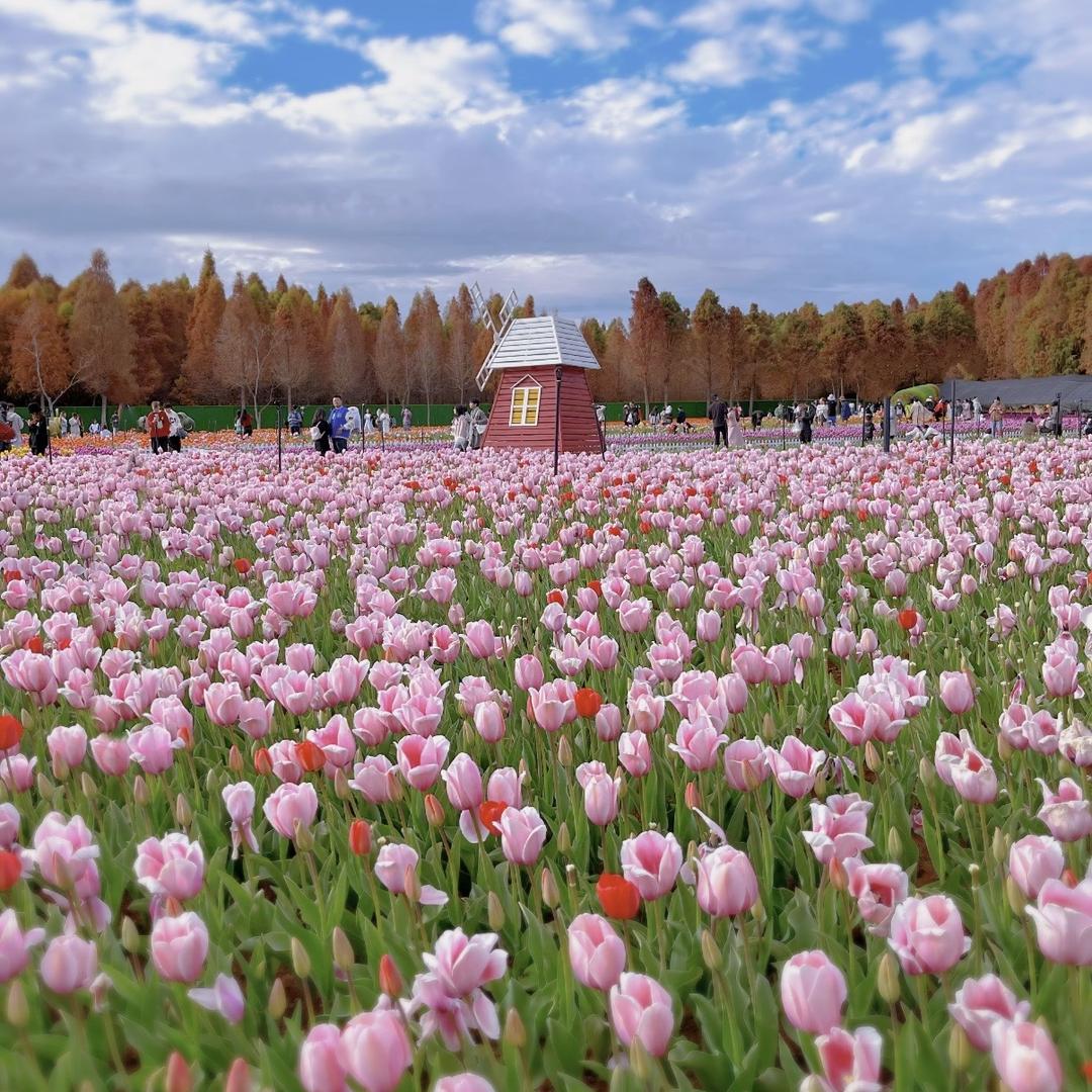 云南特产滋补品店