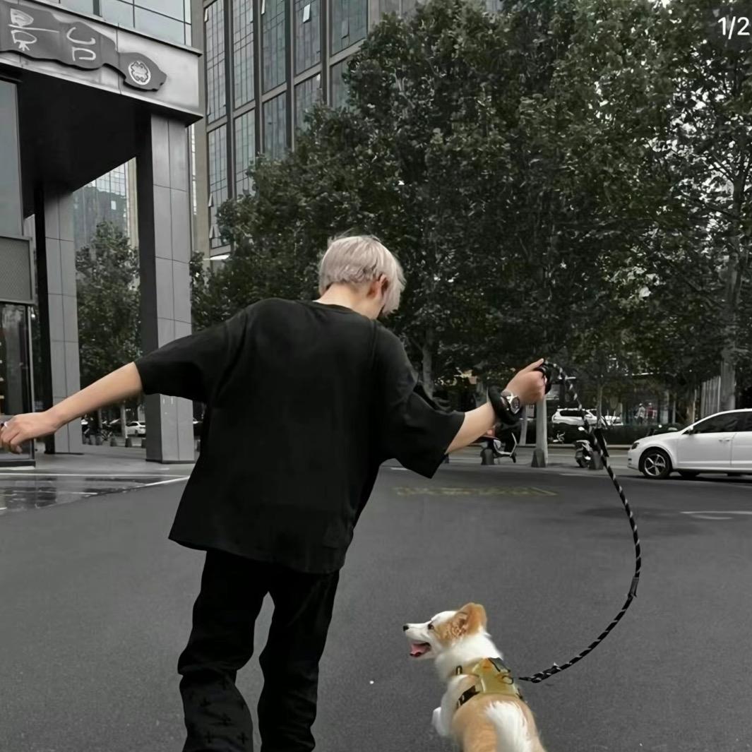 锦鲤小豪.