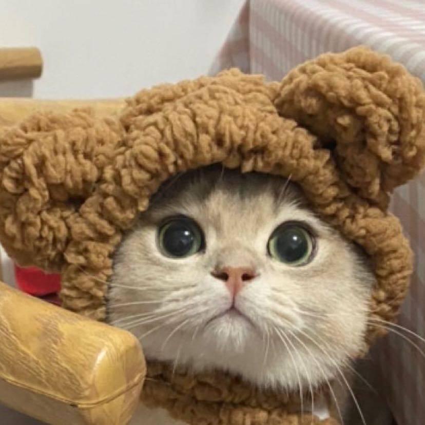 热心市民玲娜冰儿