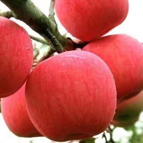 精品二手中央空调