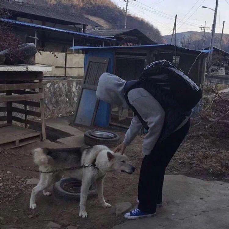 一日看尽长安花