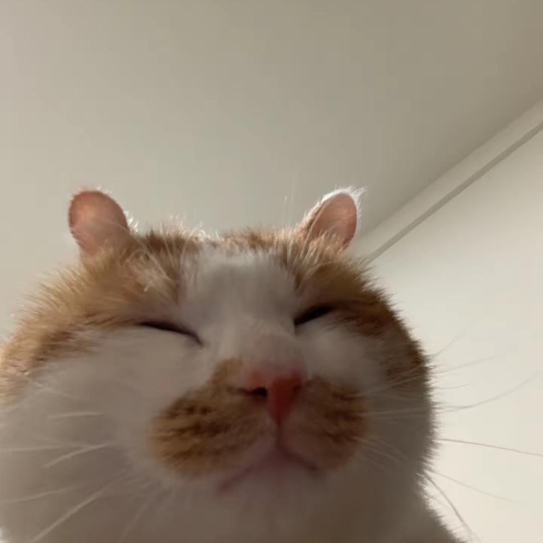 下小雨