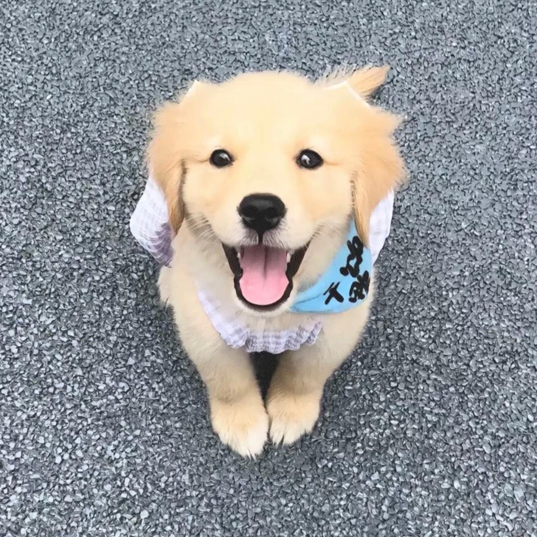 hello 彬酱