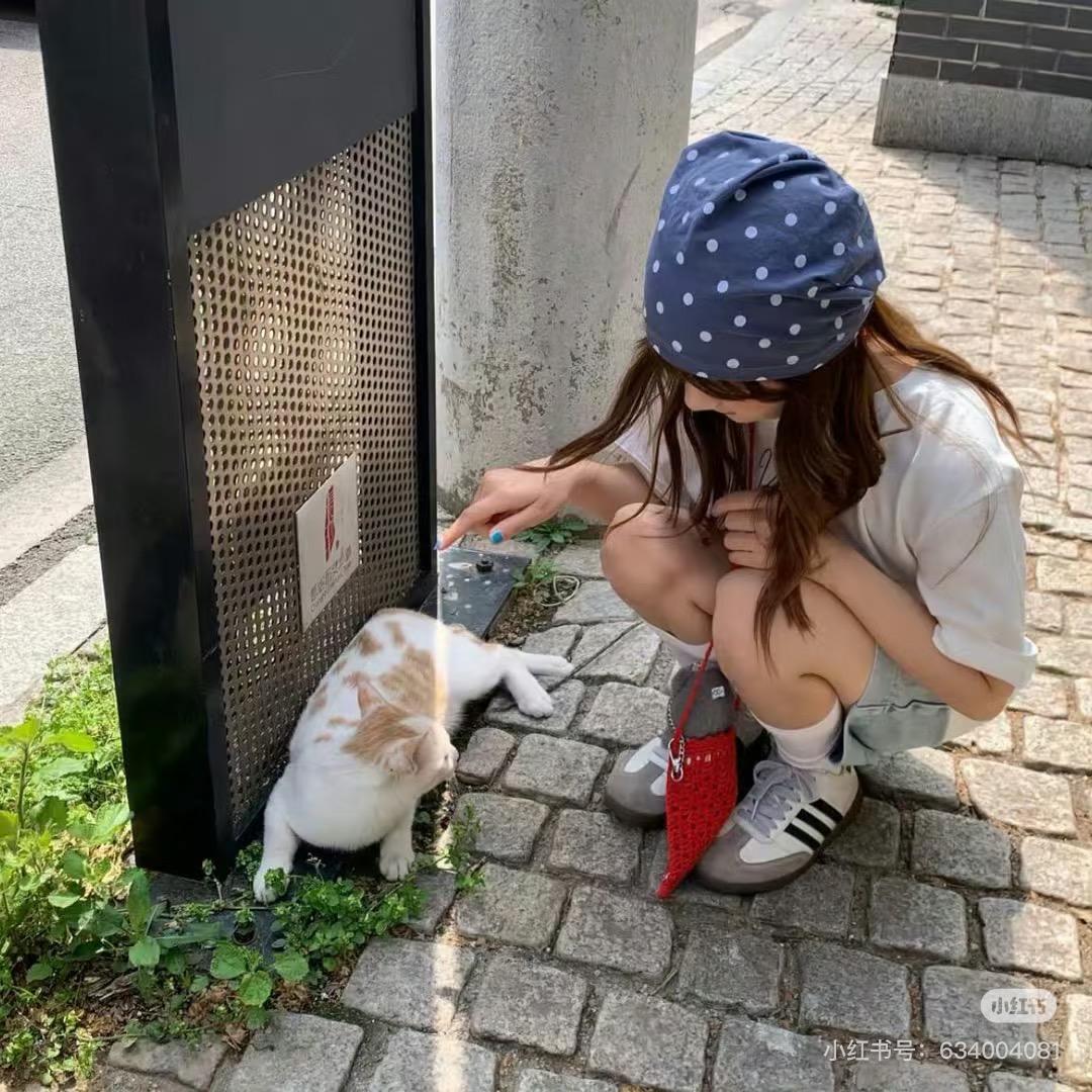青釉美学