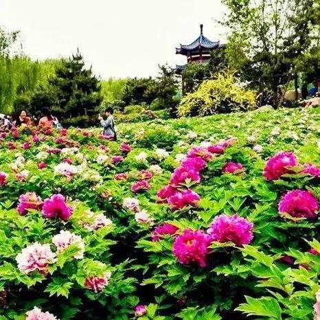 泰源百货