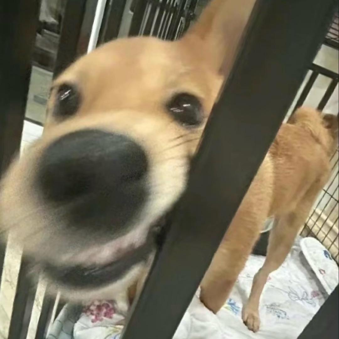 00.