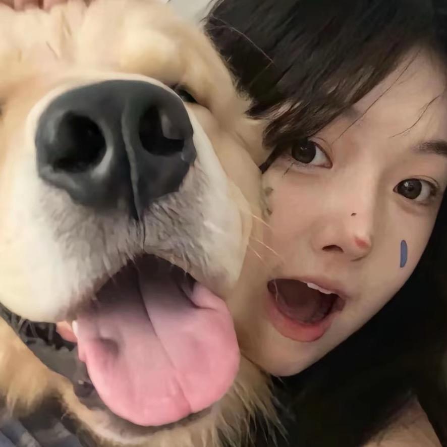 歆歆