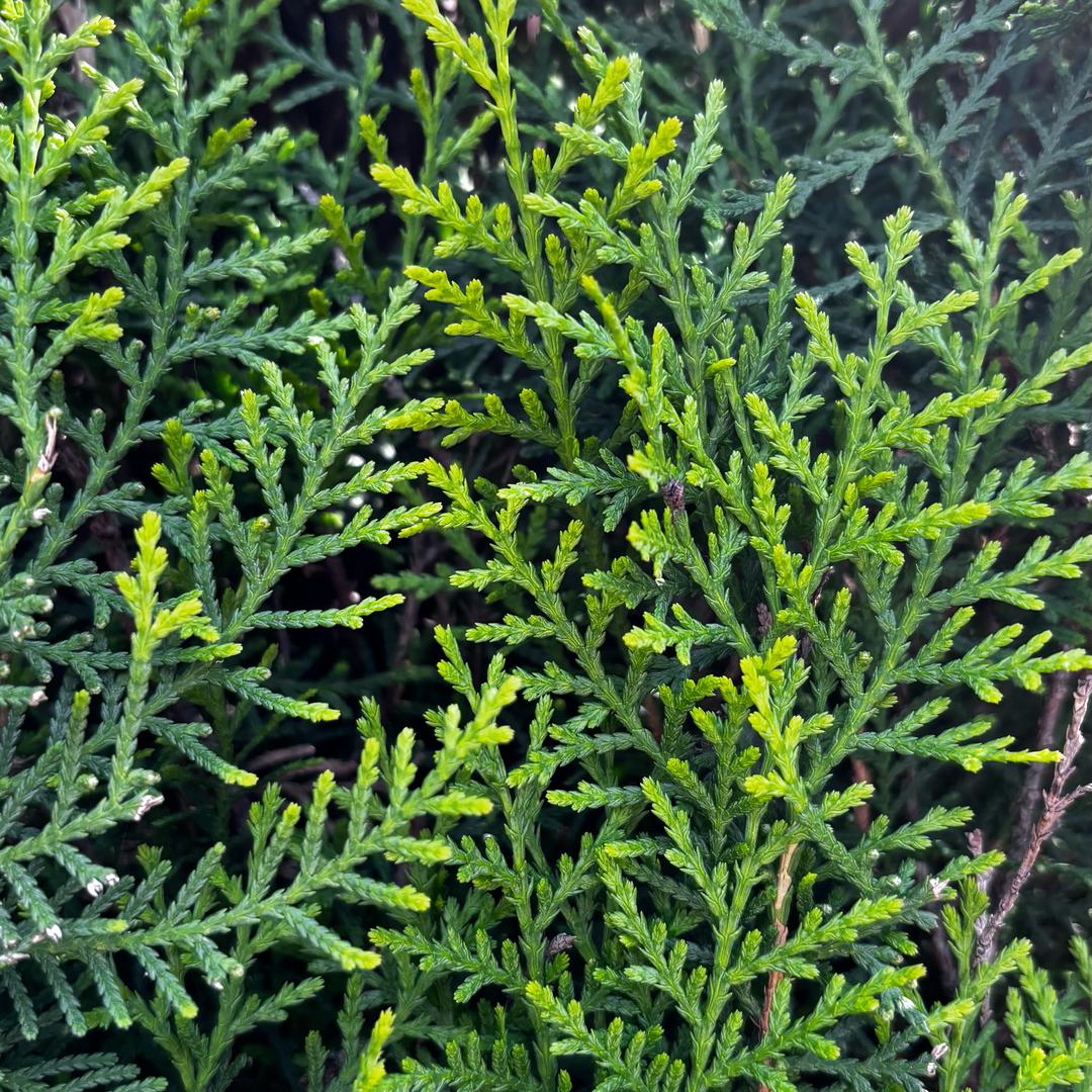 哦上课基本不需