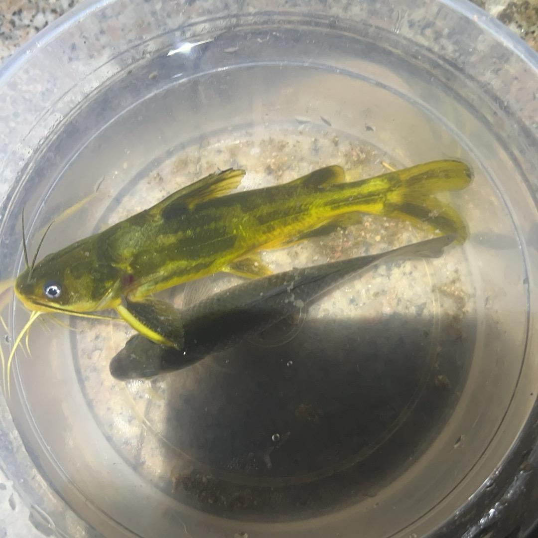 号8866842697556855987