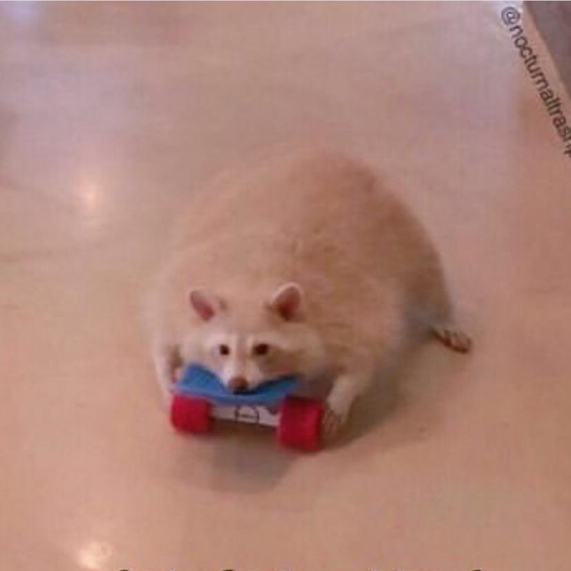 疏影横斜水清浅