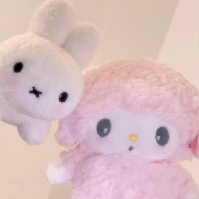 森森今天吃什么🍥