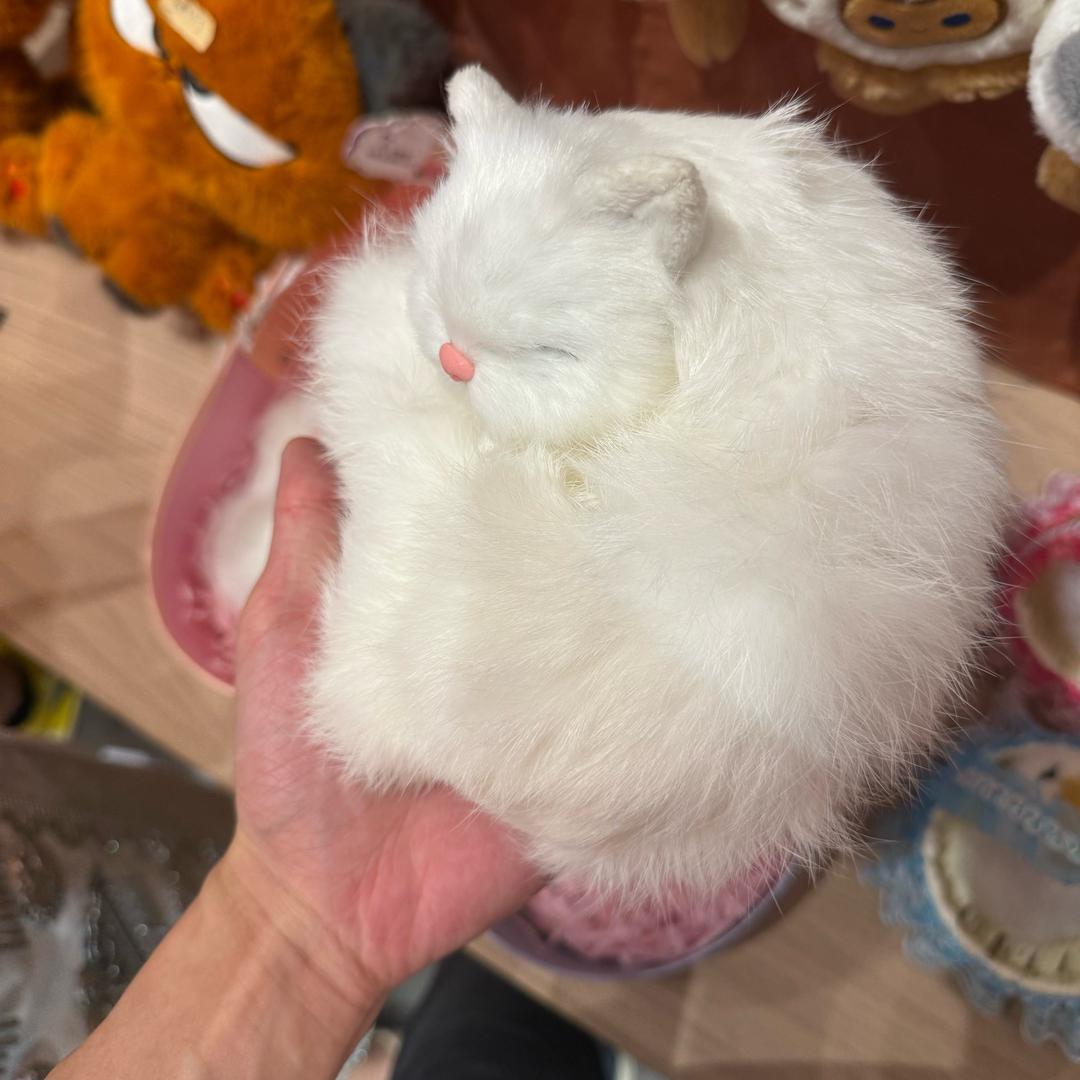 小木马