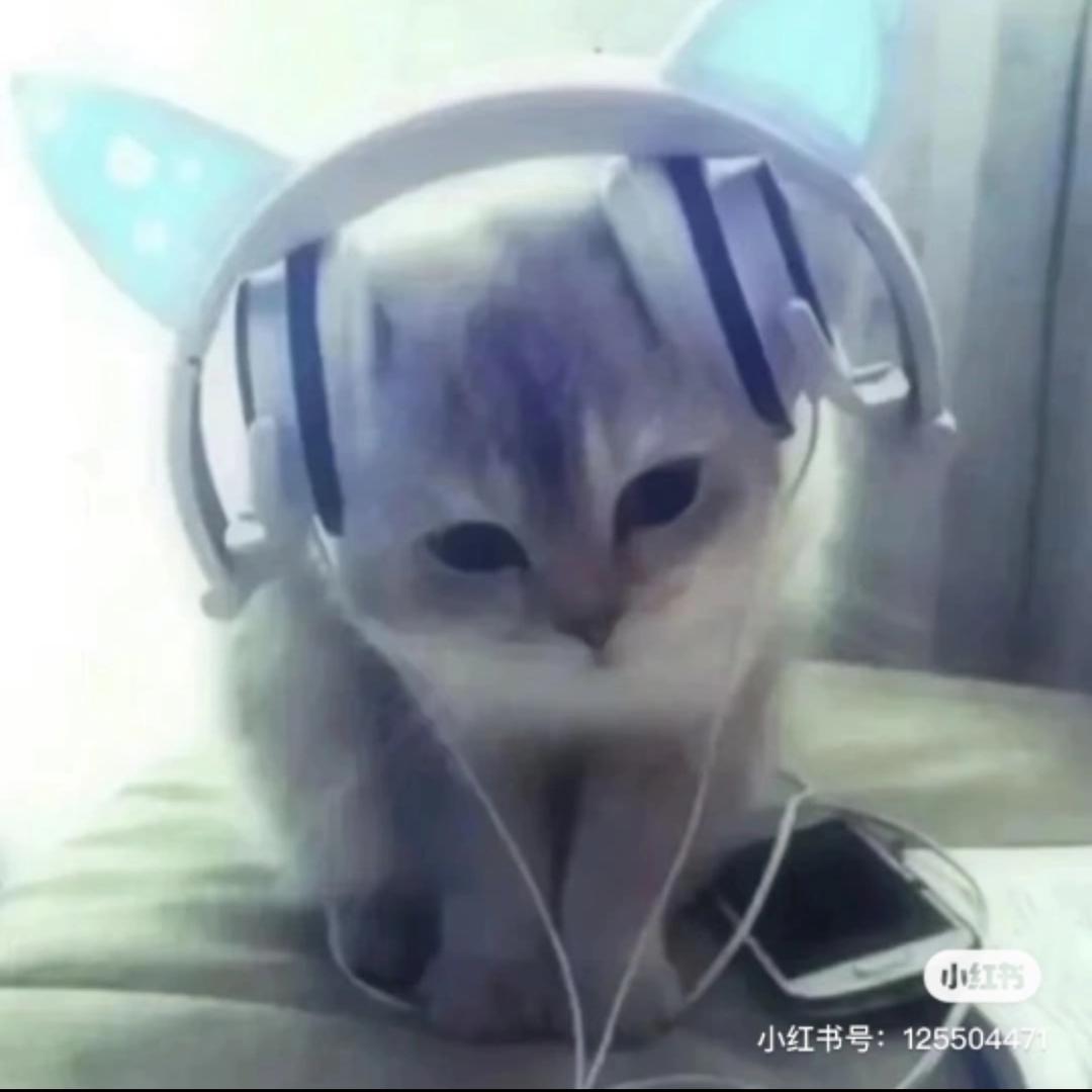 小美宝