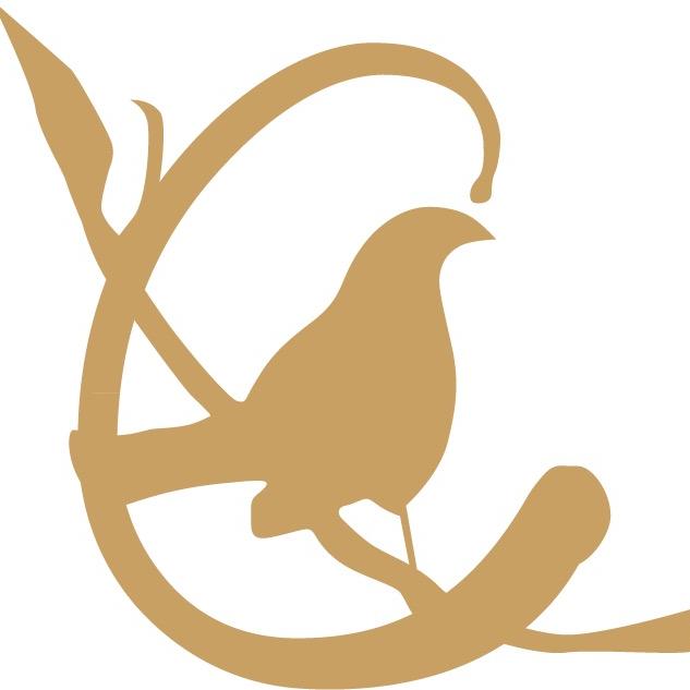 初映内衣旗舰店