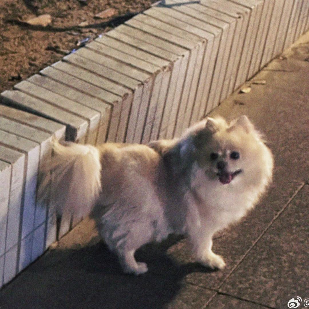 💜
