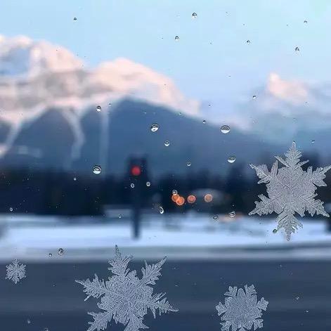 说了你又不高兴