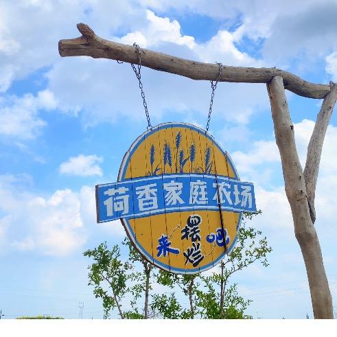 任丘市荷香农场