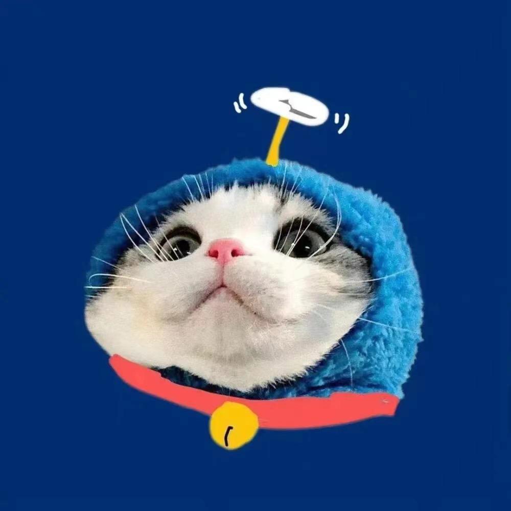 吧唧一口🍉