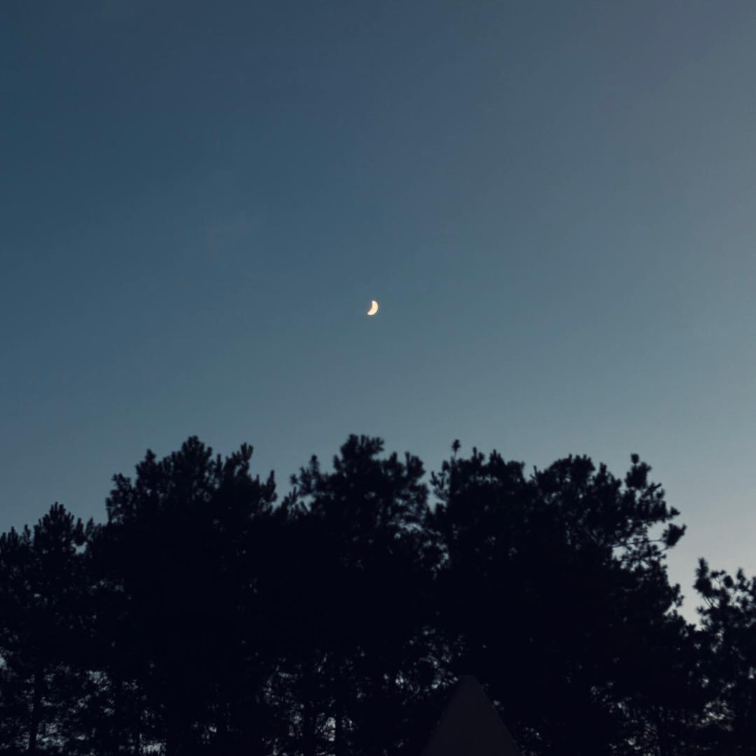 幸福晚年