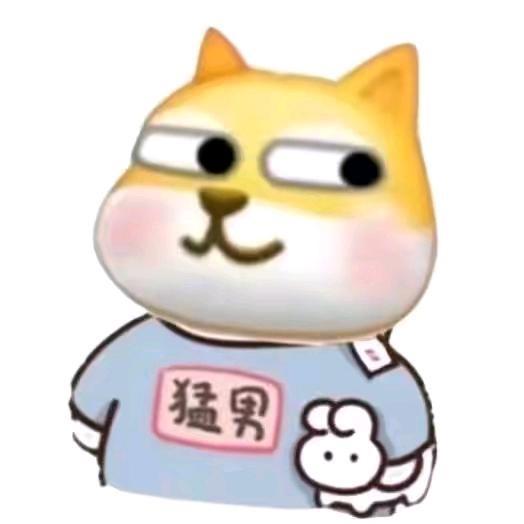 泰迪熊大宝