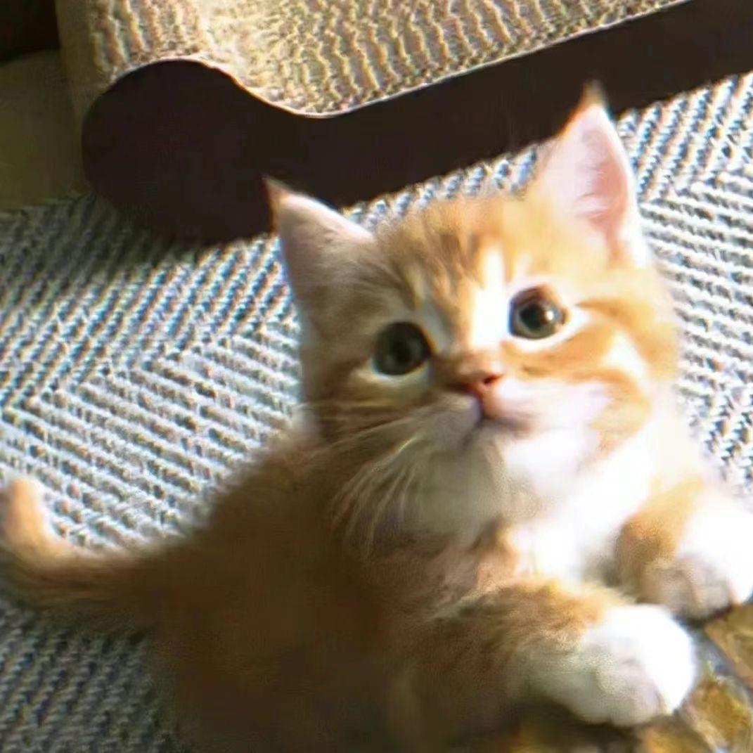 ╰つ゛无名小姐