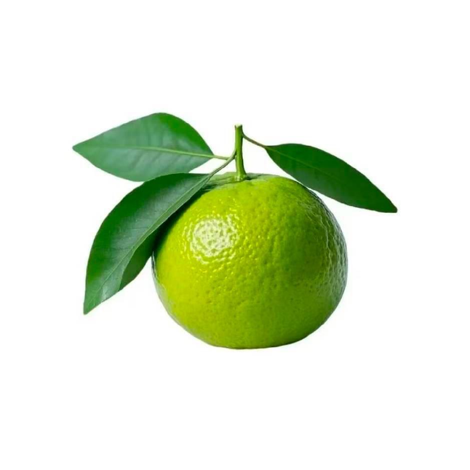 胡森楠