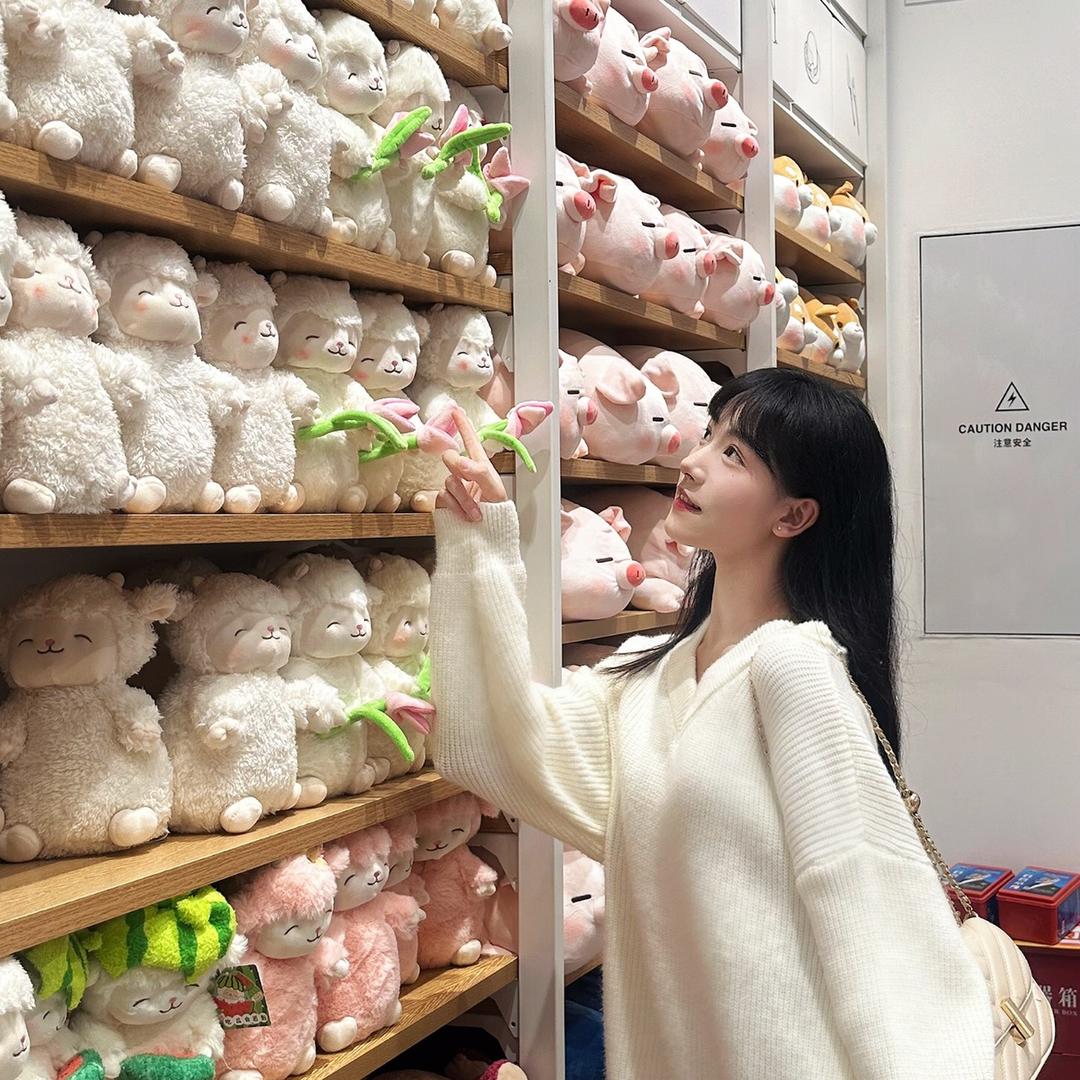 拯救凯凯行动
