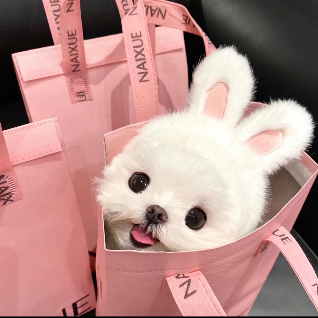 迷人的反派角色