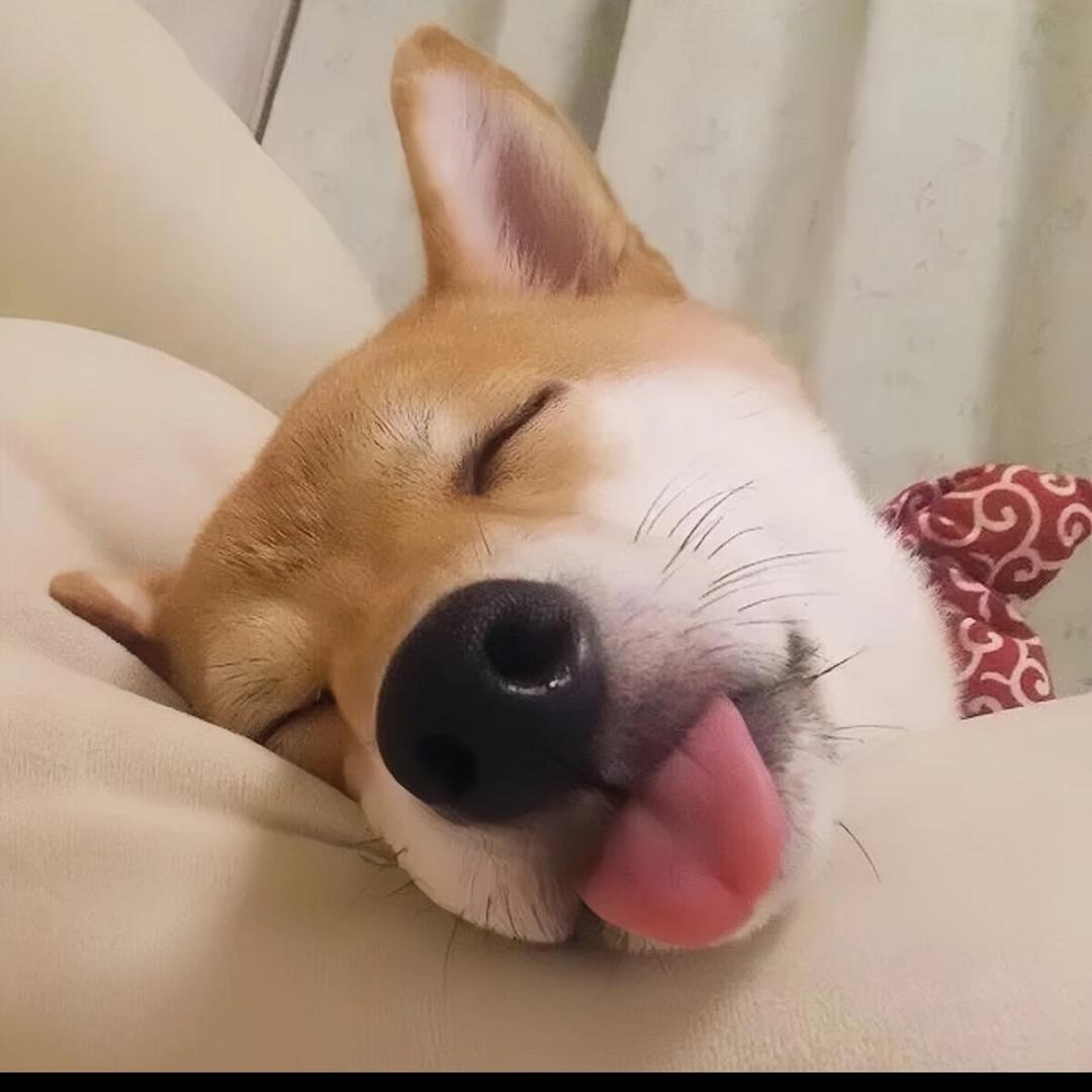 不穿秋裤 不出门