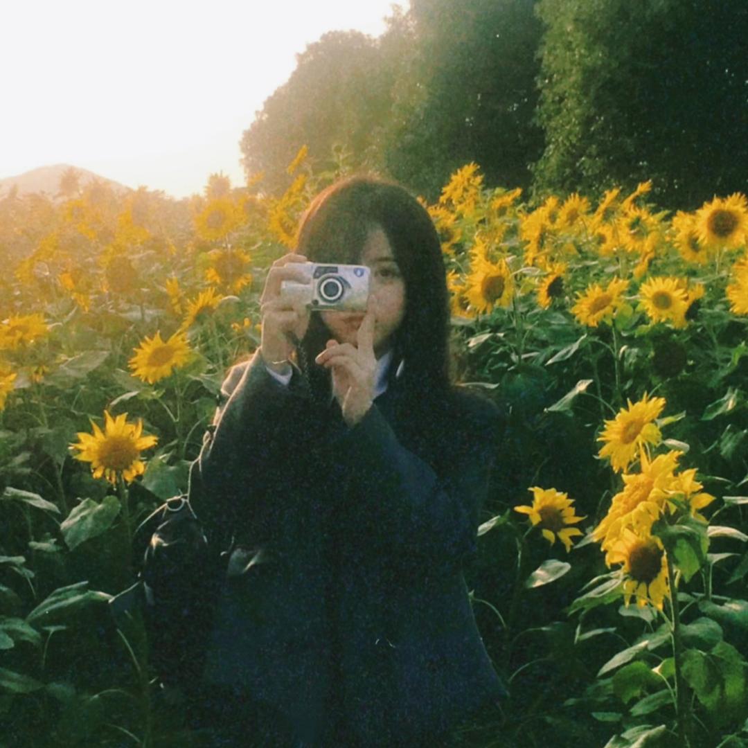 X-413🌻