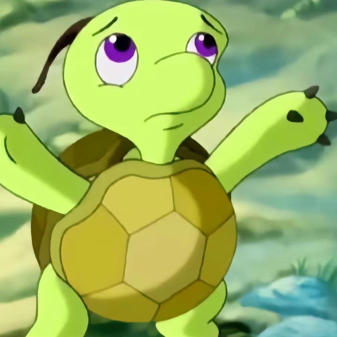 你的龟龟🐢@抖音