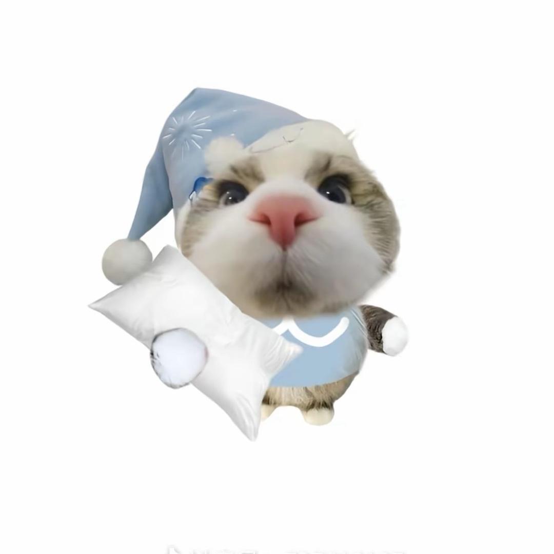 164