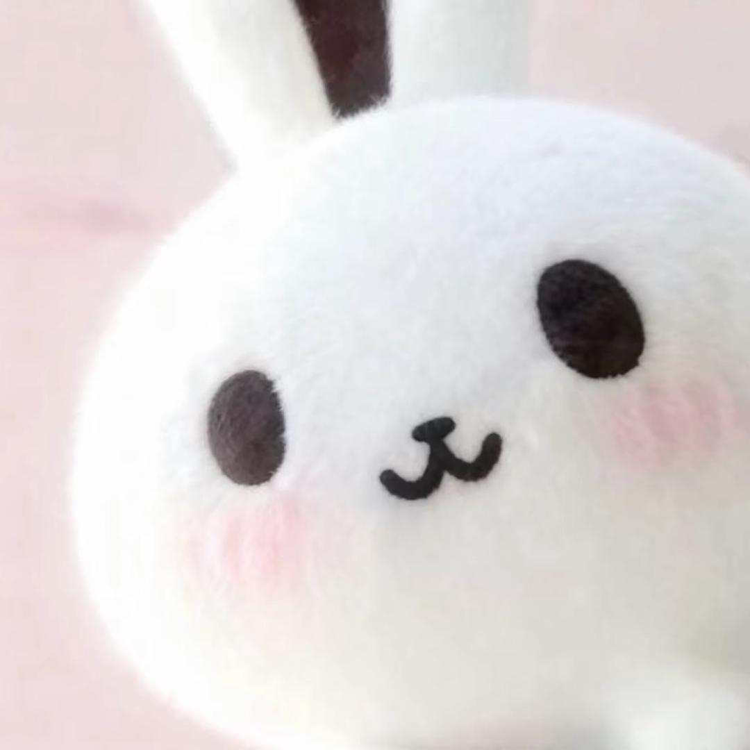 椰丝米兔