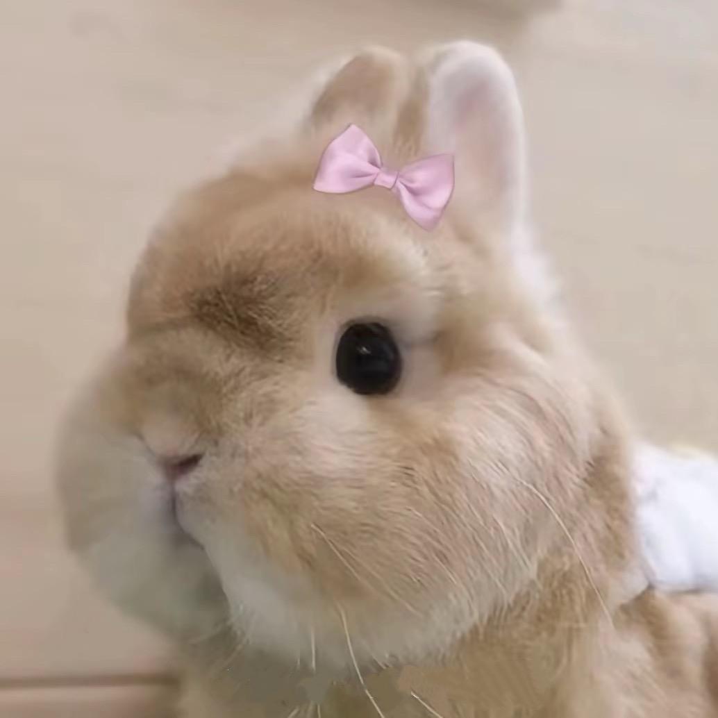 @小静静