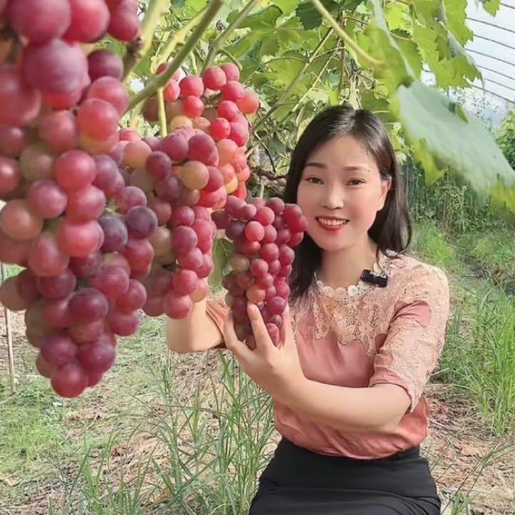 大琴琴🌞