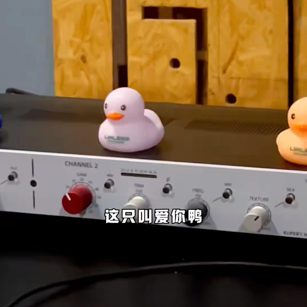 清新脱俗的小团子头像