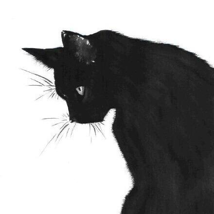 黑猫（朋友圈）