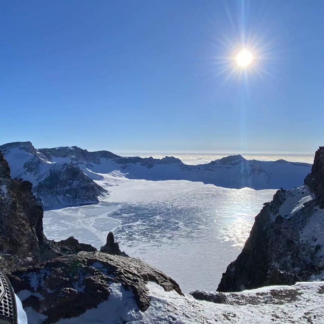 哥们儿给个鲨鱼