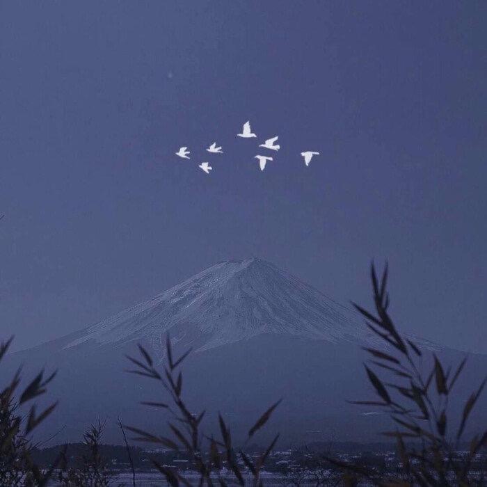 耿耿星河头像