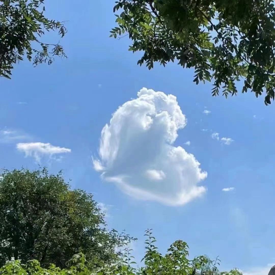 hhh