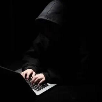 （佳禾种苗草莓番茄）禾齐正