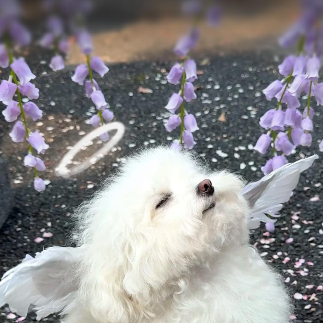 Lay-琳琳❤️❤️