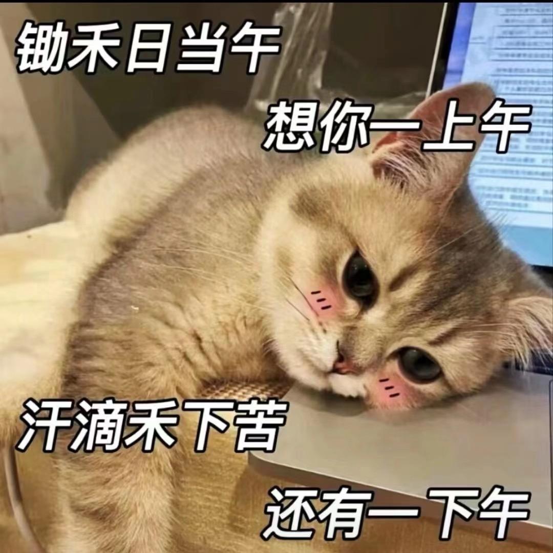 口嗨怪