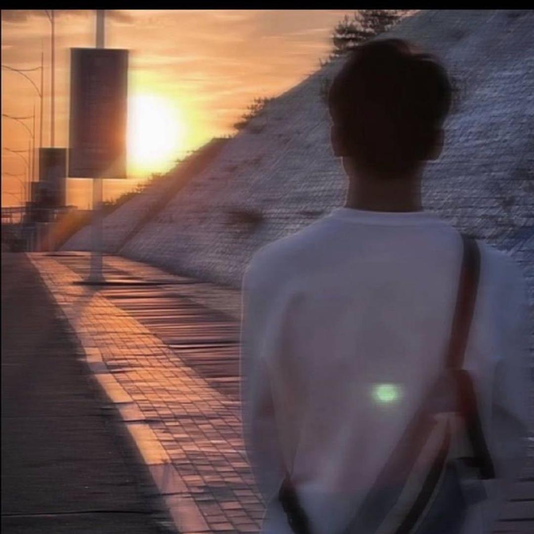 一只小馬