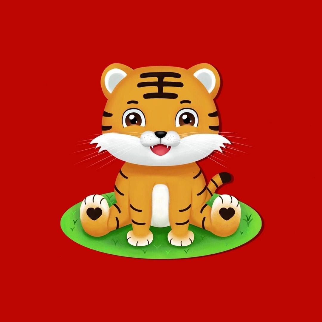 一只小老虎🐯