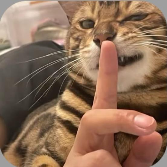 眷顾.